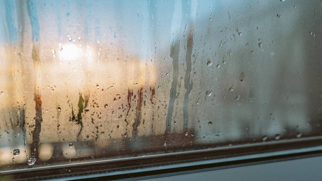 damp on a window pane