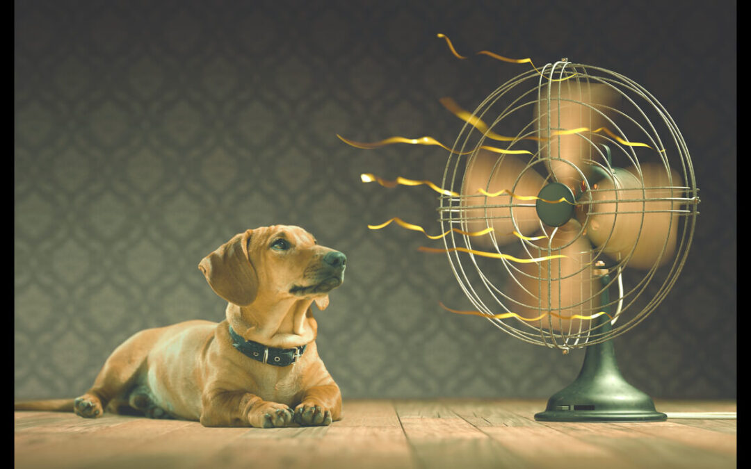 Preventing mould and the importance of ventilation